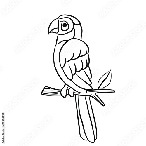 coloring book  bird  vector illustration
