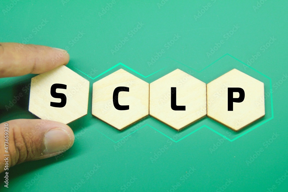 puzzle with the letters SCLP or the word Senior Citizens Law Project