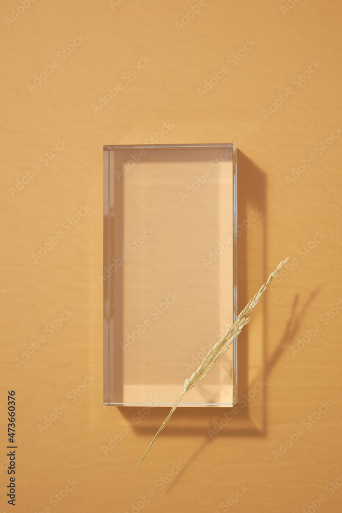 traditional food wheat with transparent podium in light green background with blank space for product advertising , traditional food content , top view