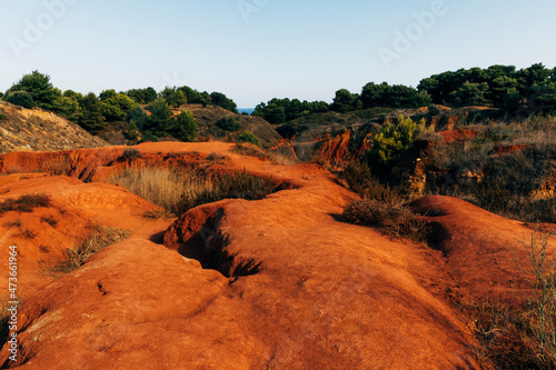 Landscape with red soil and vegetation photo