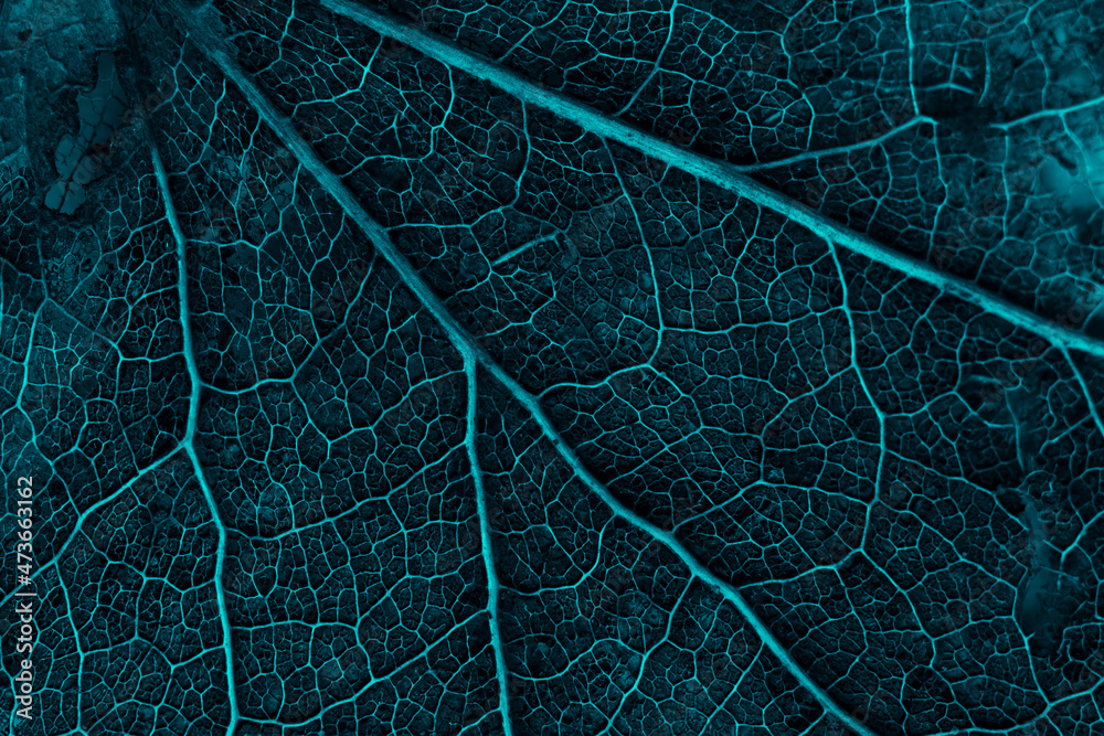 Neon light leaf