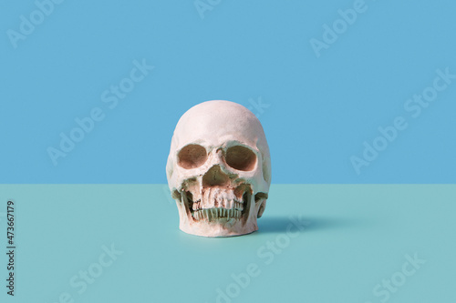 Minimalistic skull photo