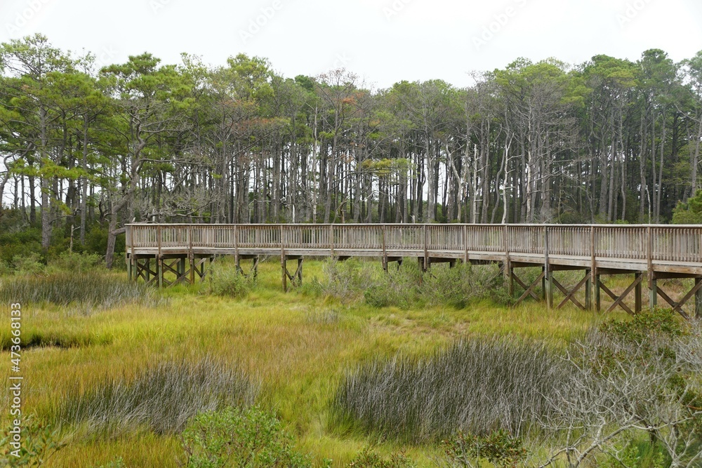 The wooden boardwalk on the wet area near Assateague Island, Maryland, U.S.A