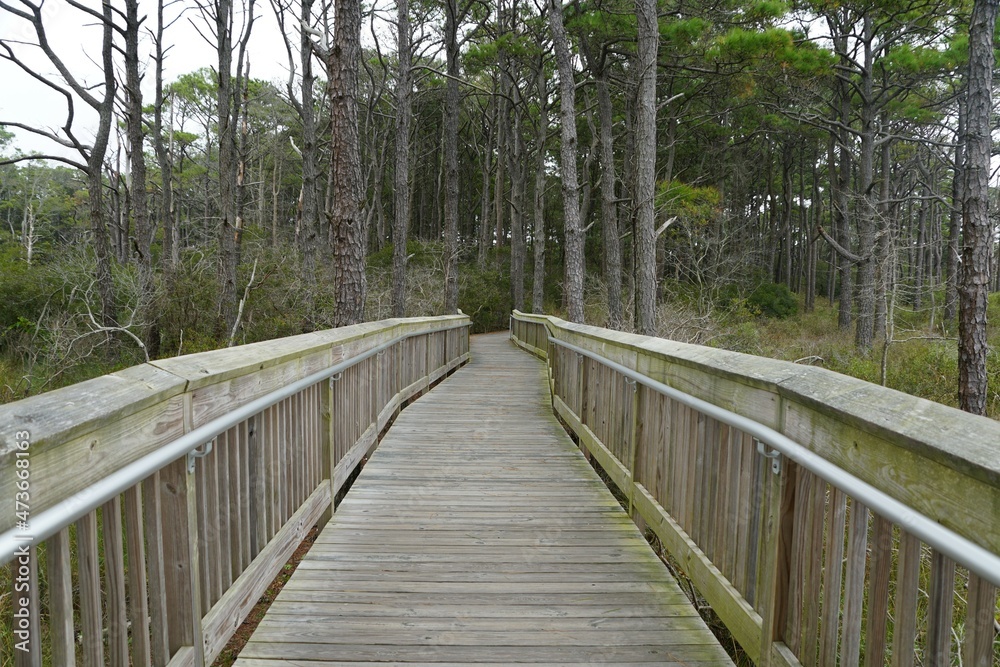 The wooden boardwalk and trail near Assateague Island, Maryland, U.S.A