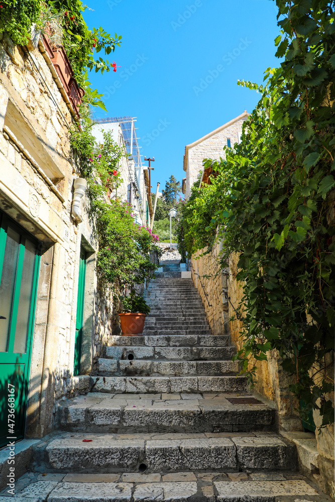 Charming tree and flower lined stairway in Hvar Croatia