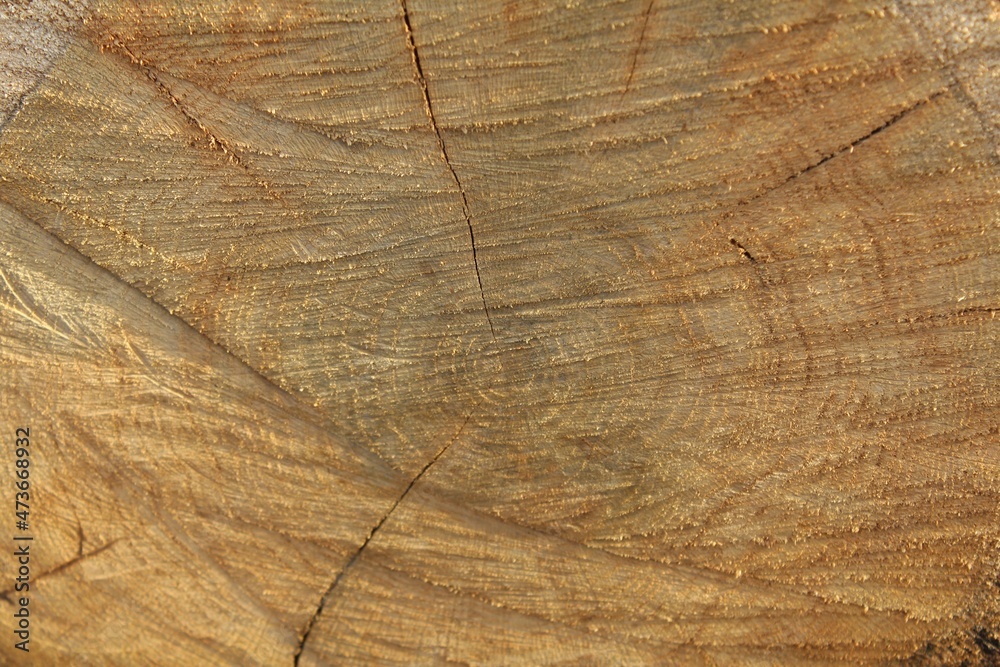 Naklejka premium texture background