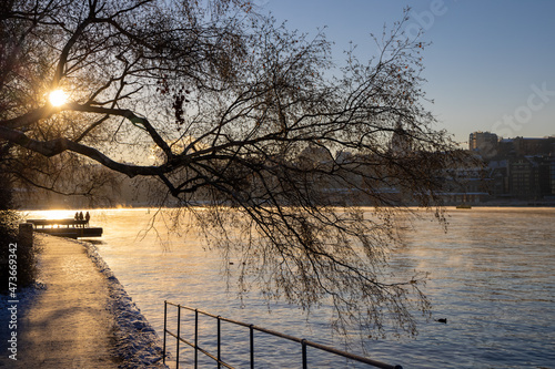 Photography People walking on a walking path at Stockholm bay on freezing winter day with steaming water, birch tree in front and cozy sun light
