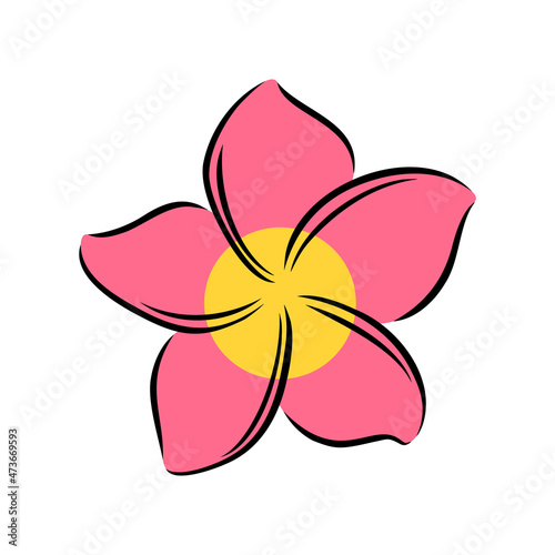 Frangipani or plumeria exotic summer flower. Engraved frangipani isolated in white background. Outline vector illustration