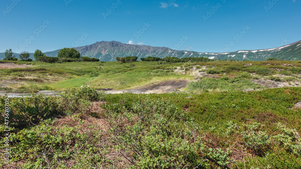 Obraz premium Green grass and shrubs grow in the crater of an extinct volcano. A picturesque mountain range against the blue sky. Kamchatka. Uzon.