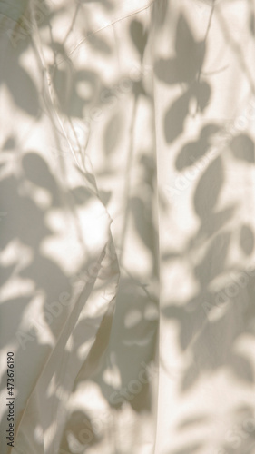 Leaf shadow on white fabric
 photo