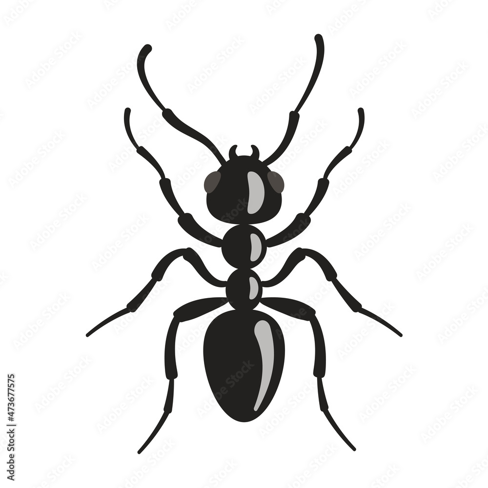 The ant is black. Vector illustration of insect pest. The ant is black. Vector illustration of insect pest.