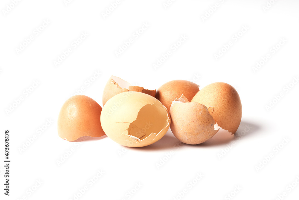 egg shell on white backgrounds egg shell on white backgrounds
