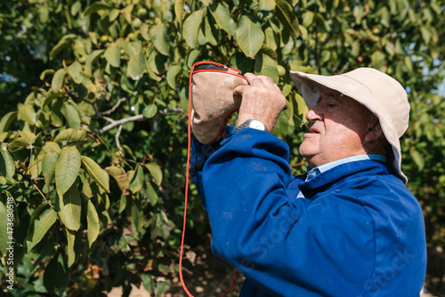 Elderly man drinking from bota bag