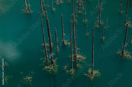 Aerial Shot Of Sunken Forest