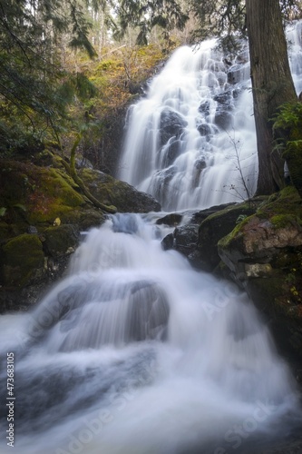 Vertical Portrait of Scenic Vine Creek Cascading Waterfall in Lush Pacific Forest  Sooke Potholes Regional Park on Vancouver Island BC Canada