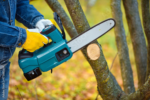 Obraz na plátne A gardener pruns trees with a lightweight cordless chain saw