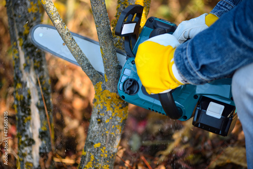 Foto A gardener pruns trees with a lightweight cordless chain saw