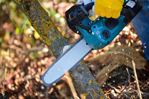 Fotografi A gardener pruns trees with a lightweight cordless chain saw