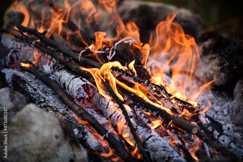 Close up of bonfire with flame and firewood outdoors