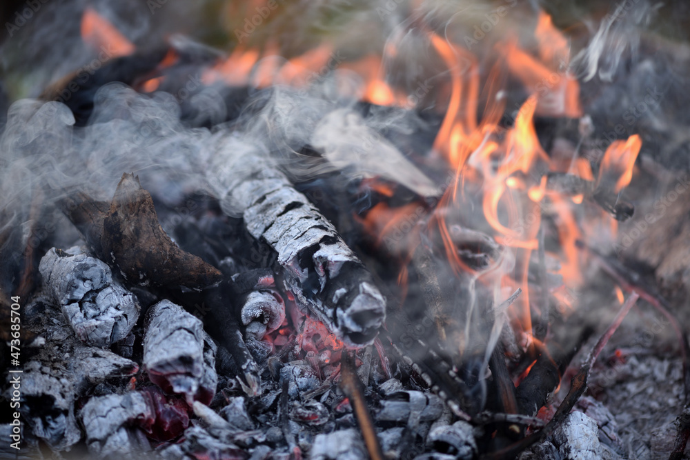 Close up of bonfire with flame and firewood outdoors Close up of bonfire with flame and firewood outdoors