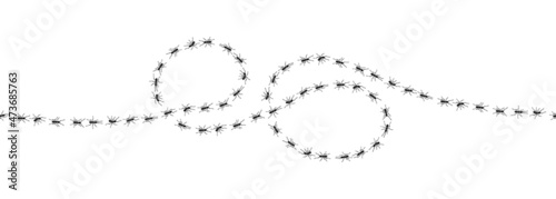 Worker ants trail line flat style design vector illustration isolated on white background. Top view of ants bug road trail marching in the line row. Pest control or insect searching concept.