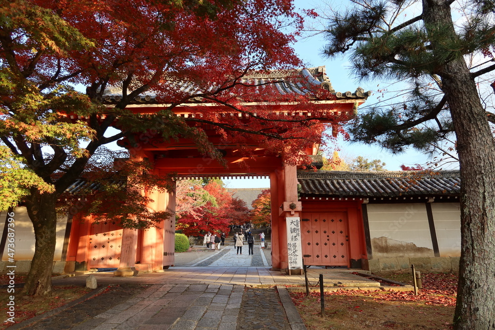 Sou-mon Gate and and autumn leaves in the precincts of Shinnyo-dou Temple in Kyoto City in Japan 日本の京都市にある真如堂境内の総門と紅葉