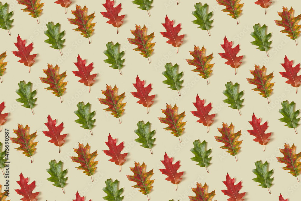 Pattern of colored oak leaves