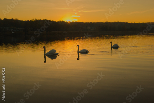 sunset on the lake