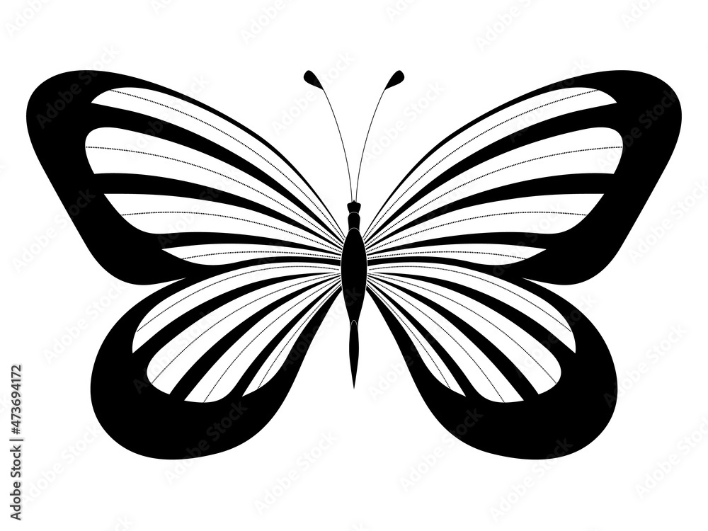 Butterfly. Stylized vector. Set of black and white insects. Abstract butterflies silhouettes isolated on white background for use as design elements or logo. Coloring book page Butterfly. Stylized vector. Set of black and white insects. Abstract butterflies silhouettes isolated on white background for use as design elements or logo. Coloring book page