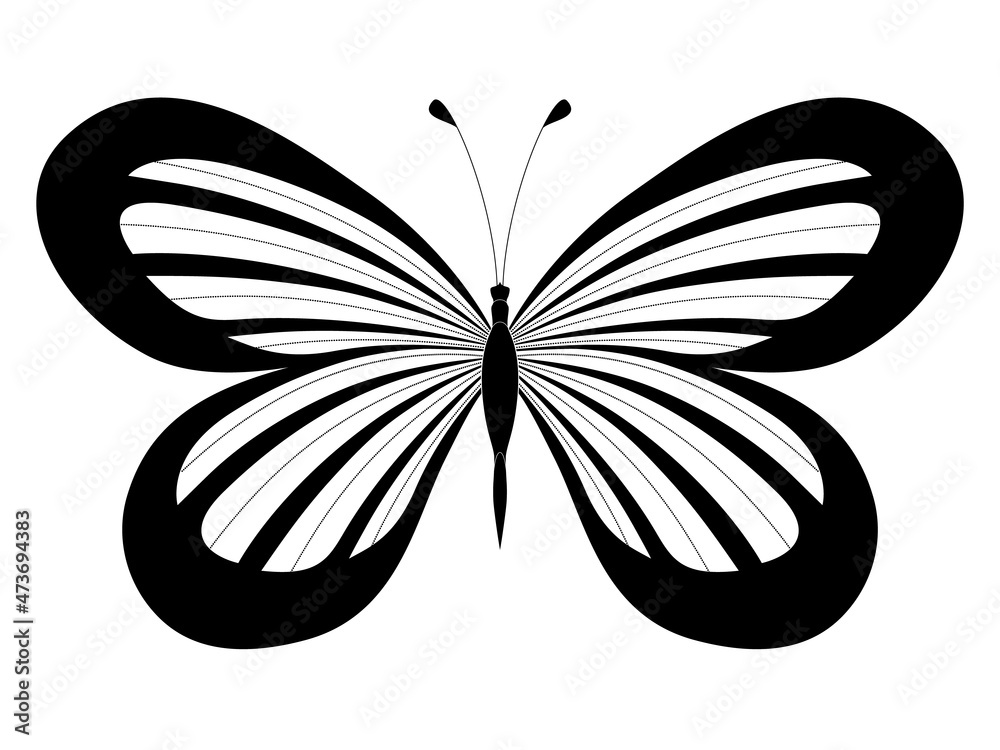 Fototapeta premium Butterfly. Stylized vector. Set of black and white insects. Abstract butterflies silhouettes isolated on white background for use as design elements or logo. Coloring book page