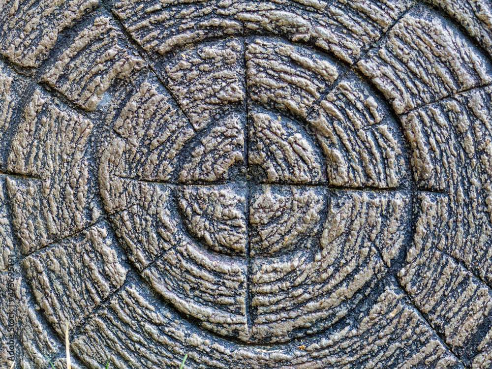 Fototapeta premium OLYMPUS DIGITAL CAMERA