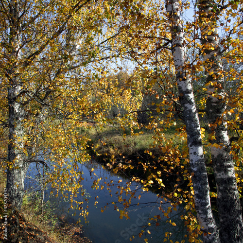 autumn in the park