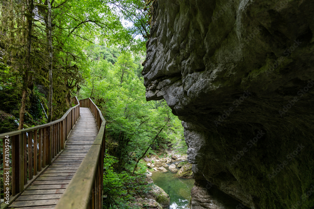 walking paths in the canyon walking paths in the canyon