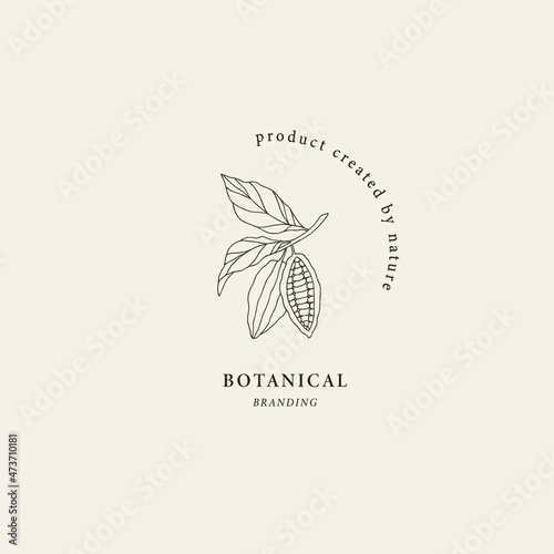 Hand drawn cacao logo. Botanical design photo