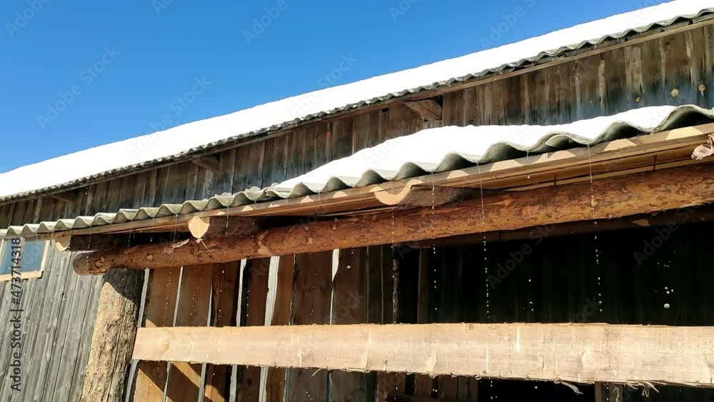 snow is melting on the roof of a wooden shed. meltwater flows down from the roof in thin streams. snow is melting on the roof of a wooden shed. meltwater flows down from the roof in thin streams.