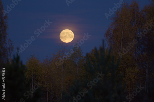 Full moon in autumn sky nature night landscape photo