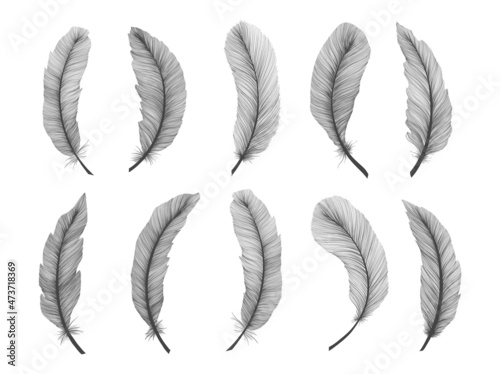 Feather hand drawn sketch realism style. Tribal native american. Boho ethnic decoration.