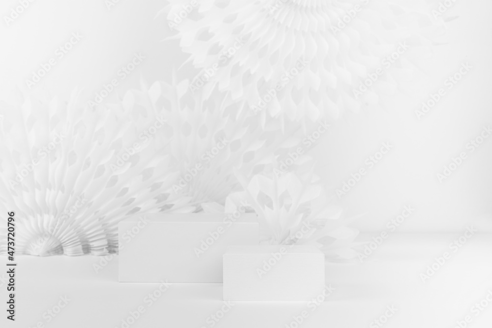 Two white rectangle podiums on elegant light abstract scene mockup for ...
