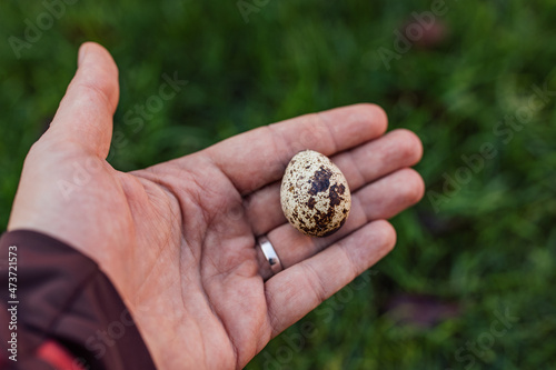 Closeup picture of an egg, resting on the palm of the person's hands.