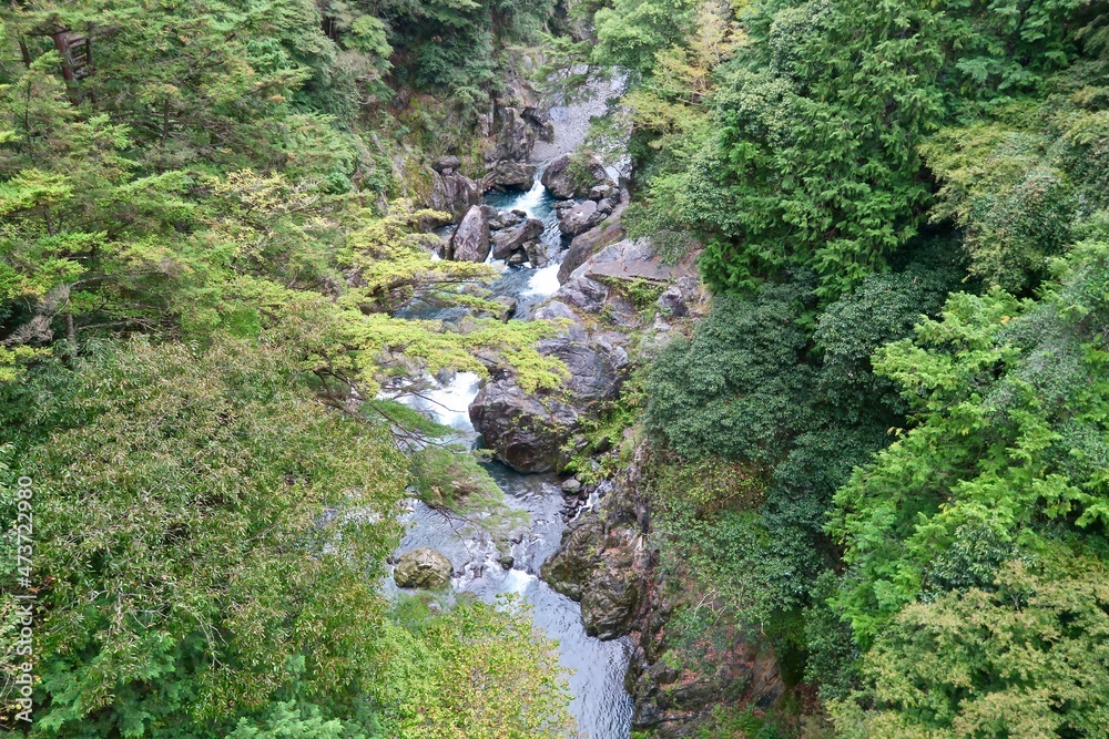 多摩川 多摩川
