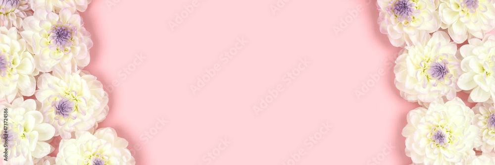 Banner with white dahlia flowers on a pink background. Springtime frame. Romantic concept. Banner with white dahlia flowers on a pink background. Springtime frame. Romantic concept.