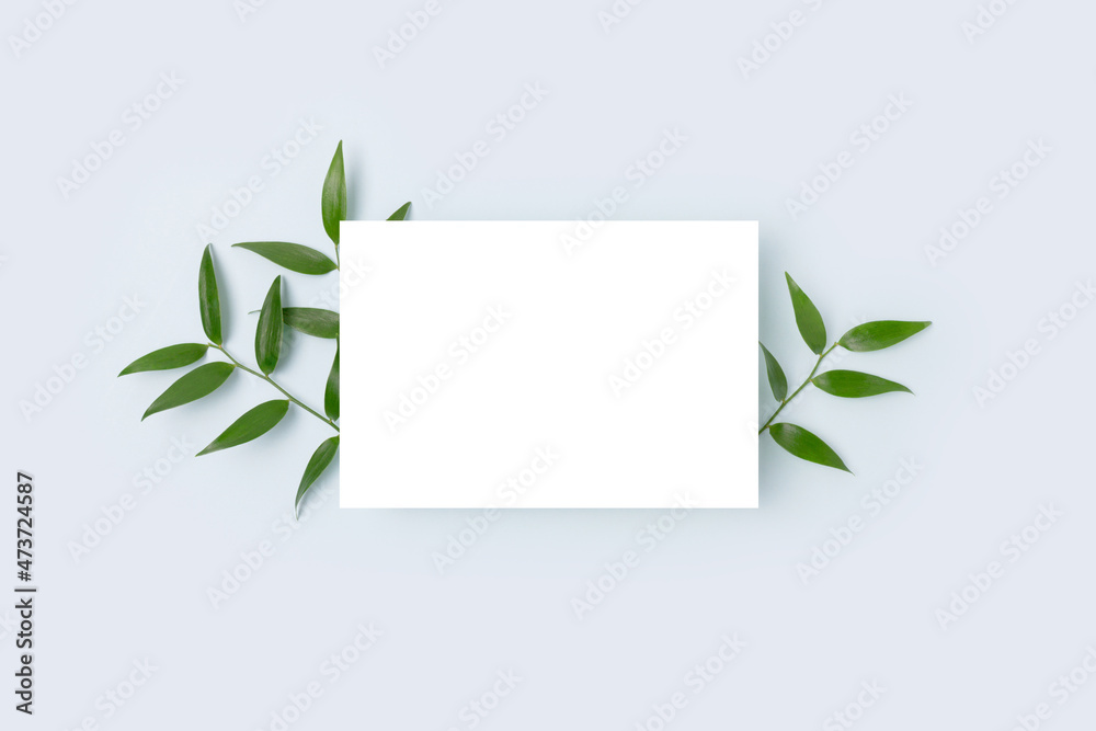 Blank paper card mockup and green leaves of pistachio on a blue background. Summer concept with copyspace.