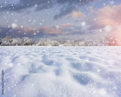 Beautiful snow-covered field with a thick layer of snow. Wintry lonely landscape