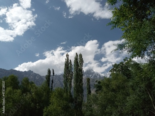 Canvastavla Green Mountains and Nature