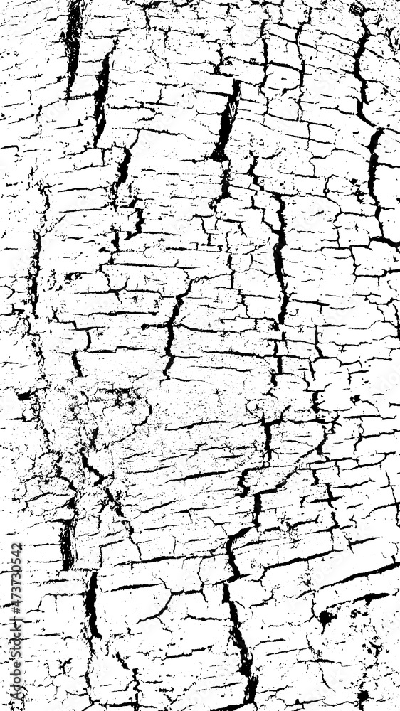 Obraz premium Black white texture of rugged relief fractured bark wood of aged cork oak. Old rough grunge of uneven ridged hard dry crust surface. Deep cut grooved coated layer, convex ornate textured rustic design