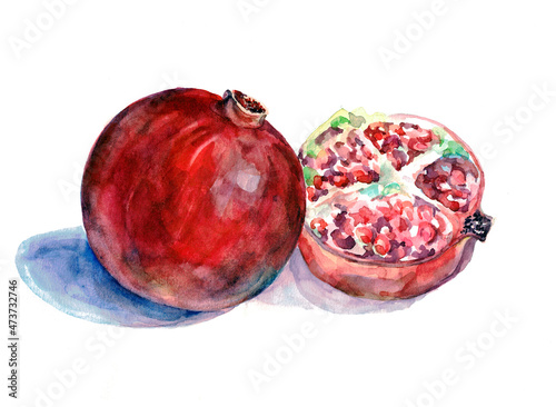 Watercolor of red granate on white background. Illustration.
