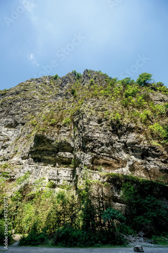 rocks overgrown with deciduous trees against a blue cloudless sky