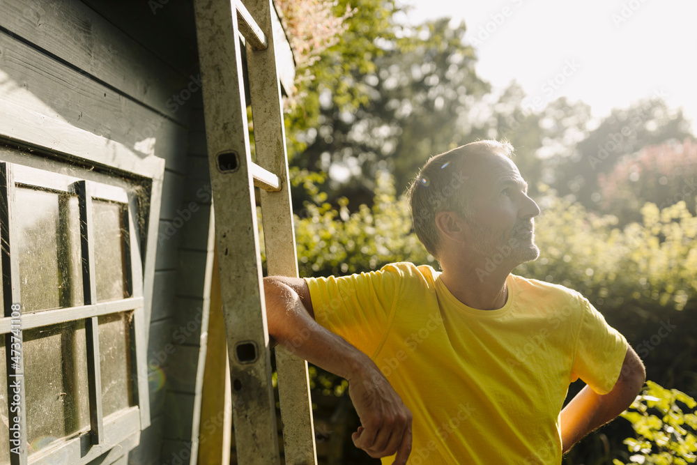Man looking away while leaning on ladder in back yard during sunny day Man looking away while leaning on ladder in back yard during sunny day