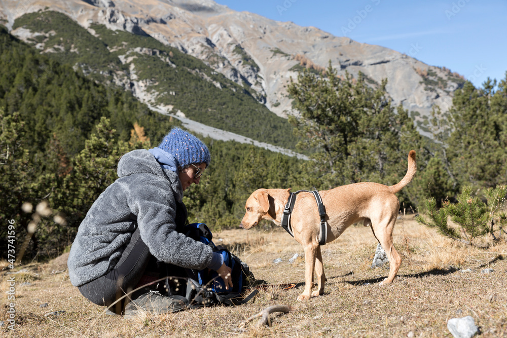 dog with owner in a mountain landscape dog with owner in a mountain landscape