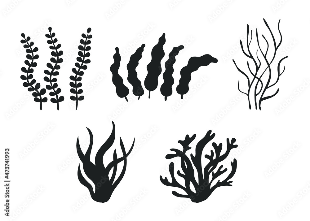 Set of different underwater sea plant, seaweed and algae black silhouette. Edible seaweed and leaves. Plants of aquarium. Vector contour illustration Set of different underwater sea plant, seaweed and algae black silhouette. Edible seaweed and leaves. Plants of aquarium. Vector contour illustration